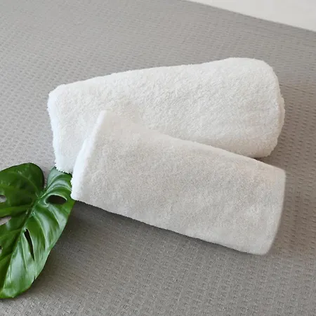 Aparthotel Icon Skg 4*